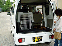 ���₢���킹