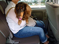 ���₢���킹